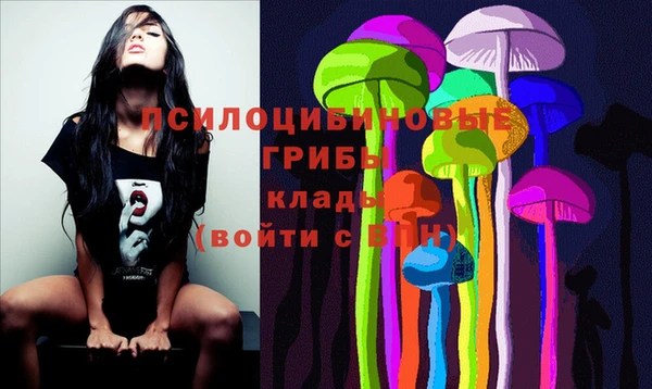 гашик Алзамай